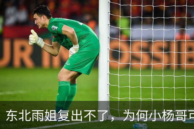 东北雨姐复出不了，为何小杨哥可以？因为他背后有卢文庆