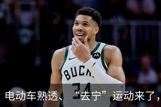 电动车熟透、“去宁”运动来了，宁王这次真废了？